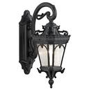 150W 1-Light Incandescent Outdoor Wall Sconce in Textured Black