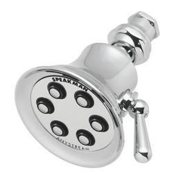 Multi Function Showerhead in Polished Chrome