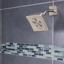 Speakman Brushed Nickel Multi Function Intense, Massage and Combination Showerhead 