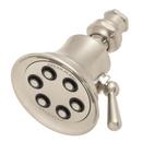 Speakman Brushed Nickel Multi Function Flood, Intense and Rain Showerhead 