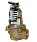 ITT-Bell & Gossett Brass NPT 30# 250 Relief Valve 