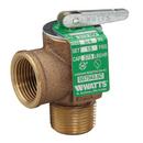 3/4 in. Bronze MNPT x FNPT 15# 250 Relief Valve