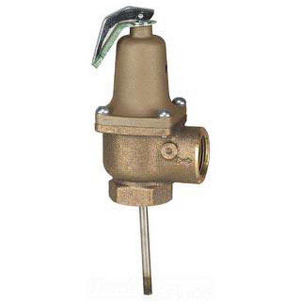 Bradford White FNPT Temperature & Pressure Relief Valve 