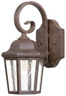 60W 1-Light Outdoor Wall Sconce in Vintage Rust