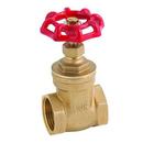 D'Angelo Metal Products Iron Threaded Gate Valve 