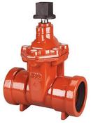 6 in. Push On Cast Iron Resilient Wedge Gate Valve