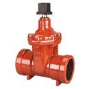 8 in. Push On Cast Iron Resilient Wedge Gate Valve