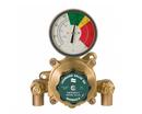 1/2 in. Thermostatic Mixing Valve for Eye or Face Wash Reduced Port in Rough Bronze