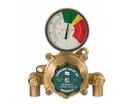 Leonard Valve Rough Bronze Thermostatic Mixing Valve for Eye or Face Wash Reduced Port in Rough Bronze 