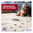 Lagasse Sweet Spot and Stain Carpet (Case of 12) 