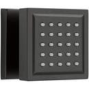 Brizo Matte Black Single Function Body Spray 