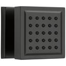 Brizo Matte Black Single Function Body Spray 