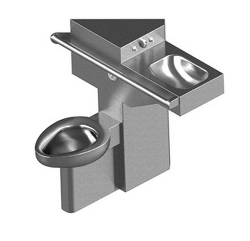 Acorn Engineering Wall Mount Toilet 