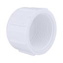 White PVC Schedule 40 FPT Cap 