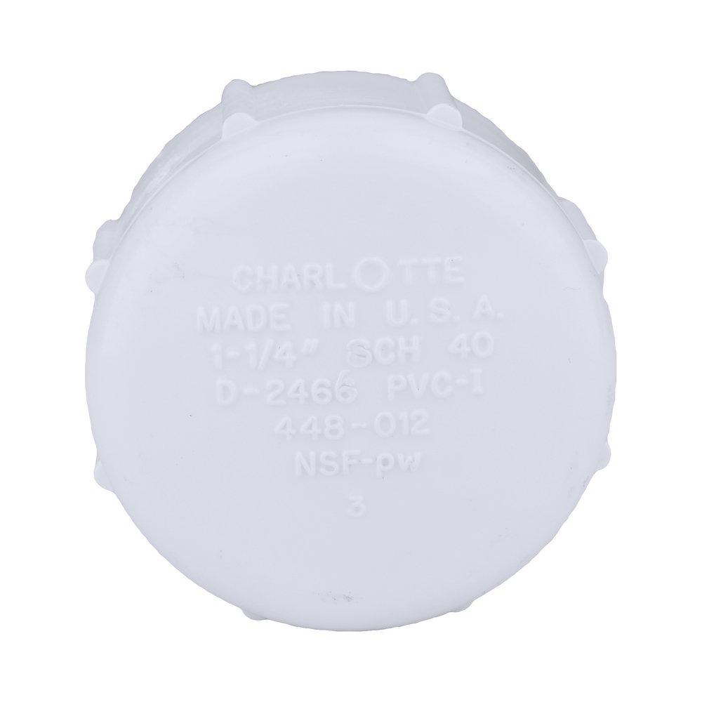 White PVC Schedule 40 FPT Cap 
