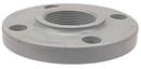 Chemtrol Light Grey Socket Weld Schedule 80 Webb CPVC Flange 
