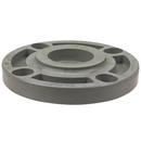 Chemtrol Light Grey Blind SDR 80 CPVC Flange in Light Grey 