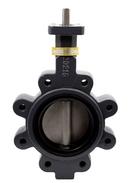 Apollo Valves Ductile Iron Flanged EPDM 10 Position Handle Butterfly Valve 
