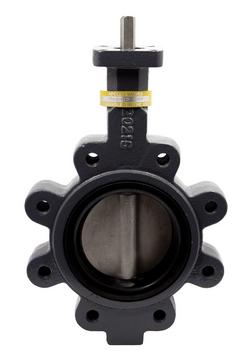 6 in. Ductile Iron Flanged EPDM 10 Position Handle Butterfly Valve
