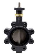 4 in. Ductile Iron Flanged EPDM 10 Position Handle Butterfly Valve