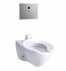 1.28 gpf Elongated Wall Mount One Piece Toilet in Cotton