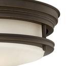 Hinkley Oil Rubbed Bronze 2-Light Ceiling Light Fixture with Etched Opal Glass 