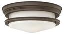 2-Light Ceiling Light Fixture with Etched Opal Glass in Oil Rubbed Bronze