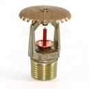 Tyco Brass 1/2 in. 5.6K Quick Response and Upright Sprinkler Head in Brass 