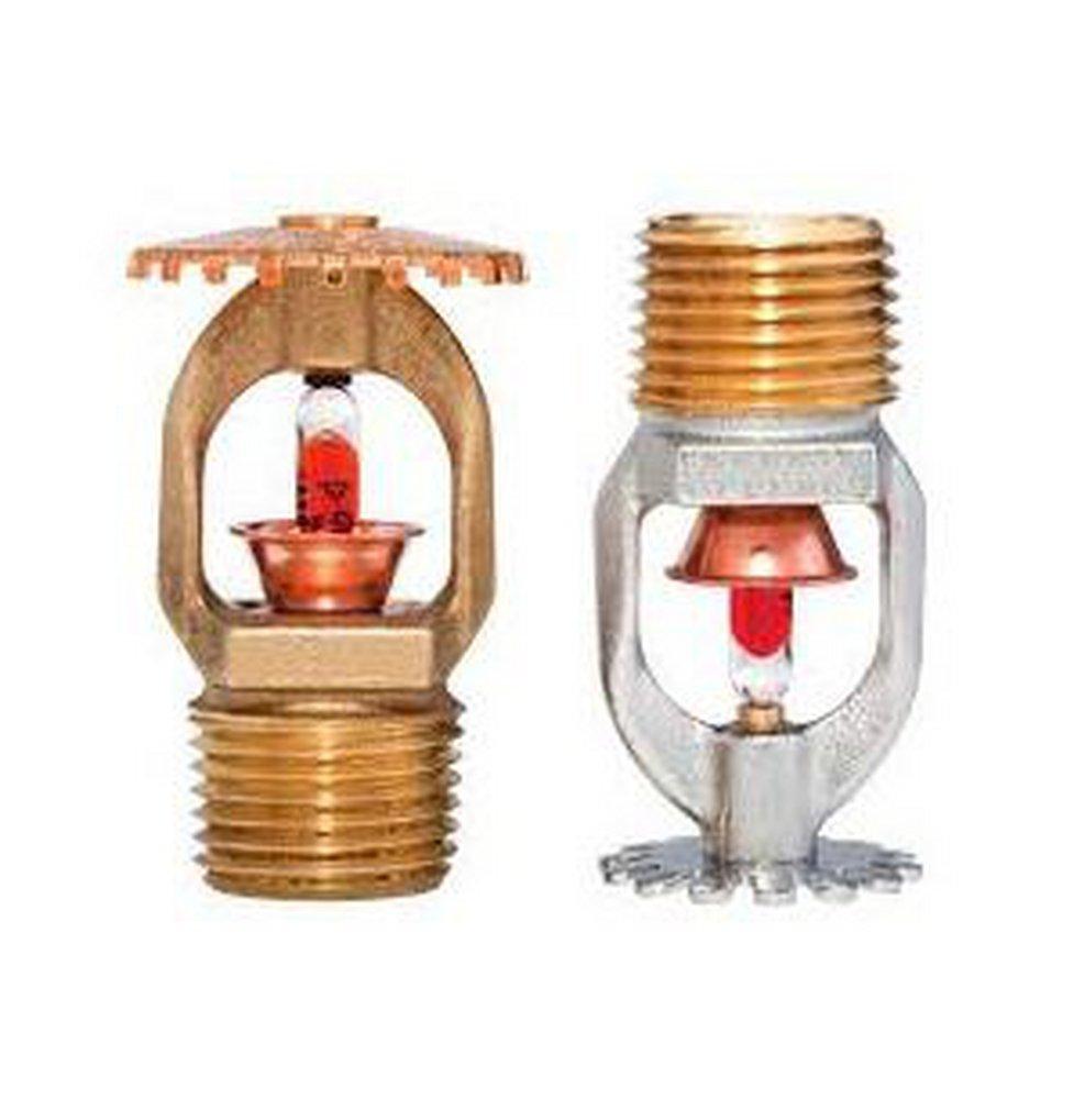 Tyco Natural Brass 1/2 in. 5.6K Standard Response and Upright Sprinkler Head in Brass 