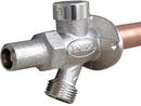 PRIER Products Satin Nickel Crimp PEX Residential Anti-Siphon Freezeless Wall Hydrant 