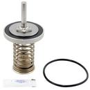 Watts Check Valve Repair Kit 