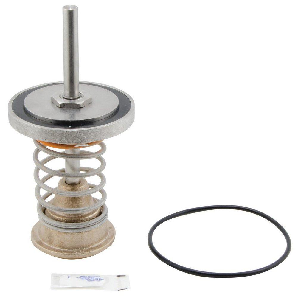 4 in. Check Valve Repair Kit 