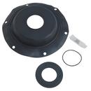 Watts Check Valve Repair Kit 