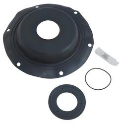 10 in. Check Valve Repair Kit