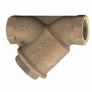 2-1/2 in. Threaded Y Strainer Valve with Tapped Retainer Cap