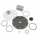 Watts Valve Repair Kit 