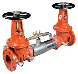 10 in. 304 Stainless Steel Flanged Backflow Preventer