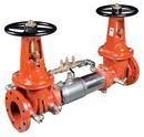 6 in Stainless Steel Flanged Double Check Detector Assembly with Water Meter and OS&Y Gate