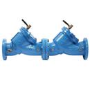 Watts Cast Iron Flanged Backflow Preventer 