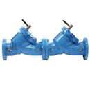 6 in. Cast Iron Flanged Backflow Preventer