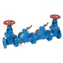 3 in. Cast Iron Flanged Backflow Preventer