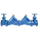 4 in. Cast Iron Flanged Backflow Preventer
