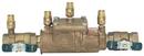 Watts Epoxy Coated Cast Iron FNPT 175 psi Backflow Preventer 