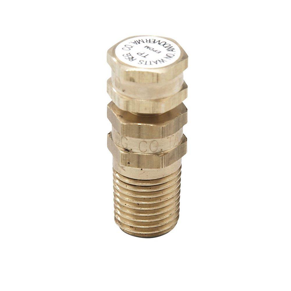 Watts Brass Temperature or Pressure Test Plug 