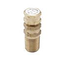 Watts Brass Temperature or Pressure Test Plug 