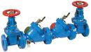 2-1/2 in. Epoxy Coated Cast Iron Flanged 175 psi Backflow Preventer