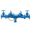 3 in. Cast Iron Flanged Backflow Preventer