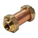 3/4 in. Union FNPT 175 psi Brass Double Check Valve
