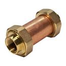 Watts Bronze Union FNPT 175 psi Brass Double Check Valve 