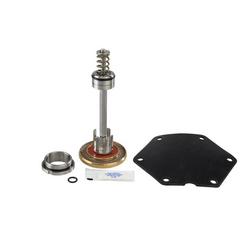 2-1/2 - 3 in. Diaphragm, Disc and Piston Assembly, Lubricant, O-ring and Seat Valve Repair Kit
